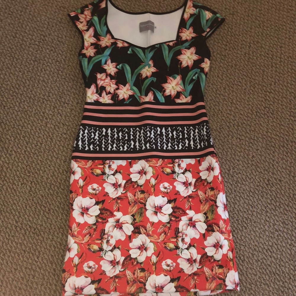 Clover Canyon Dress